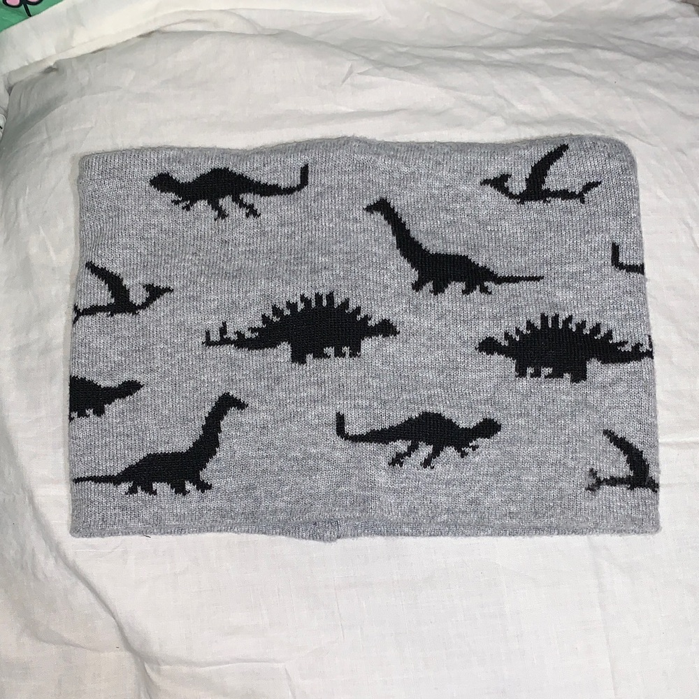 Target Gray Kids Dinosaur Neck cover